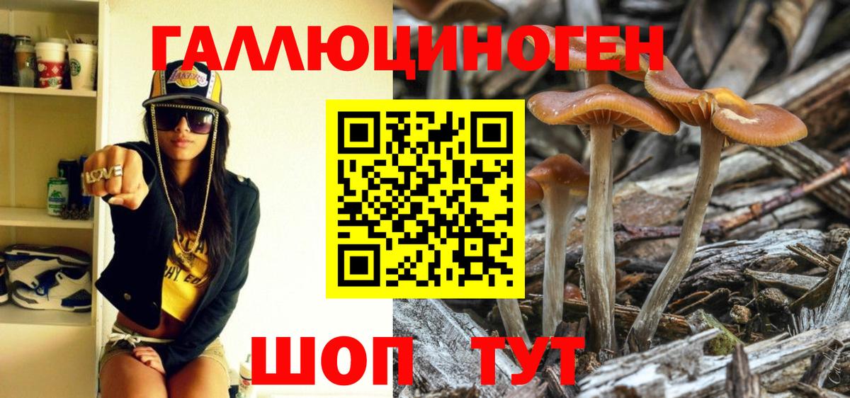 Галлюциногенные грибы Magic Shrooms Заволжье